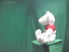 135 Degrees _ Picture 9 _ White Teddy Bear Wearing Red Sweater.png